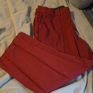Lane Bryant Pants in Deep Red